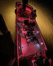 400 WATT Metal Halide Light Housing Complete Setup (Includes Digital Ballast)