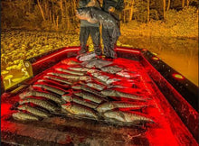 400 WATT Metal Halide Light Housing Complete Setup (Includes Digital Ballast)