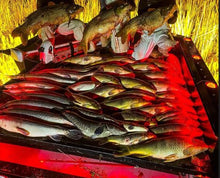 400 WATT HPS Light Housing Complete Setup (Includes Digital Ballast)